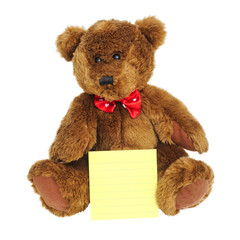 Teddy bear sitting with notes on white background