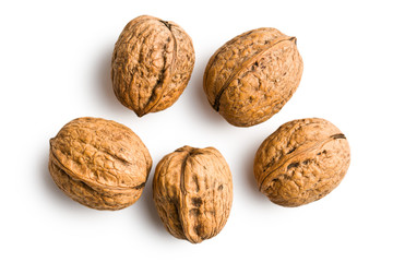dried walnuts