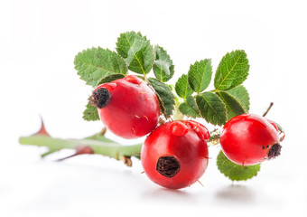 Group of rose hips isolated on a white background. © msk.nina
