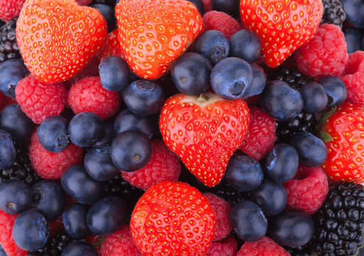 berry background