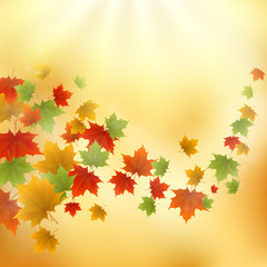 Abstract gold autumn background with flying maple leaves