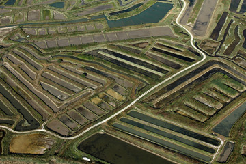 Parcs à huitres de l'île d'Oléron