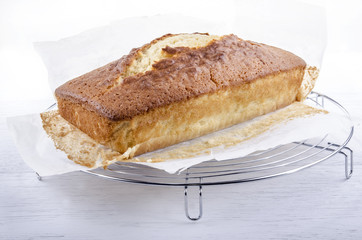 frisch gebackener Madeira Kuchen auf Backpapier