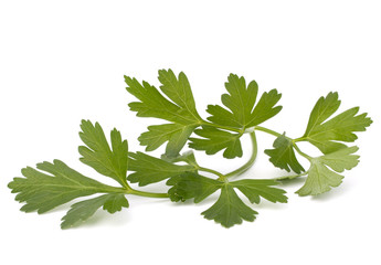 parsley