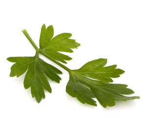 parsley