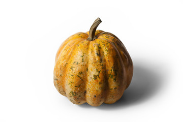 zucca