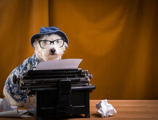Author Dog