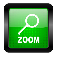 zoom icon