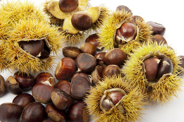Castagne cin ricci