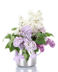 beautiful lilac flowers in metal bucket isolated on white