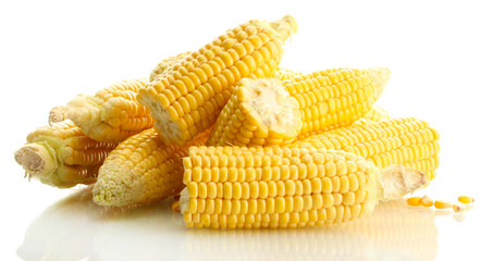 fresh corn, isolated on white