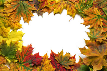 Bright yellow and red autumn leaves in the form of frame