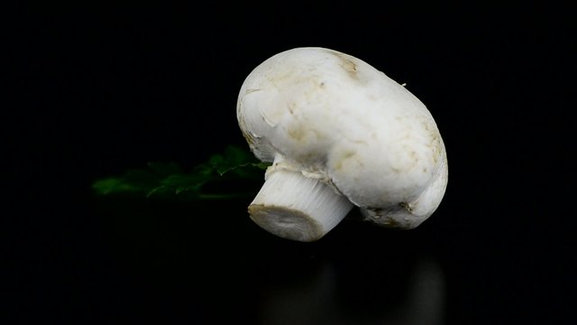 Champignon mushroom white agaricus with parsley
