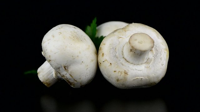 Champignon mushroom white agaricus with parsley