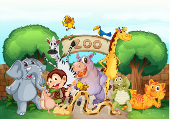 ein zoo und die tiere