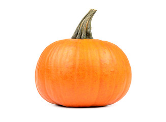 Pumpkin on white background