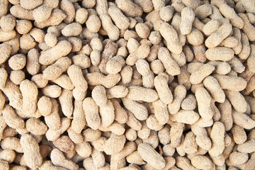 Organic Salted Peanuts In It’s Shell