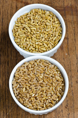Kamut And Wheat