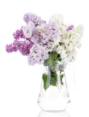 beautiful lilac flowers in glass jar isolated on white
