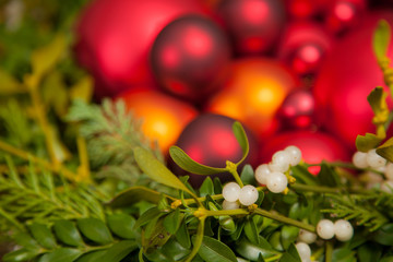 Mistelzweige mit Beeren