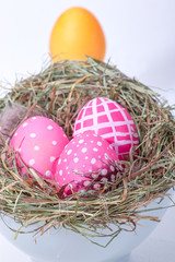 Easter eggs in the nest