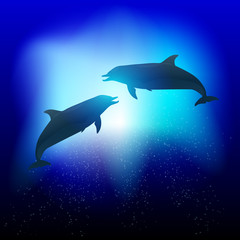 Vetor Dolphins