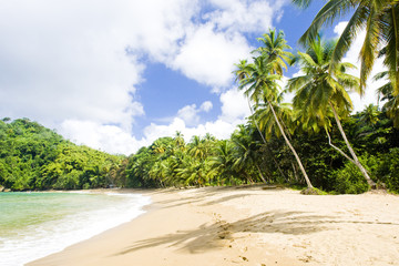 Englishman's Bay, Tobago