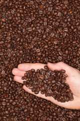 Kaffeebohnen auf einer Hand