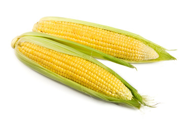 Sweet corn isolated on the white