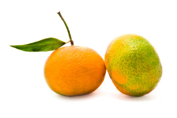 ripe tangerines