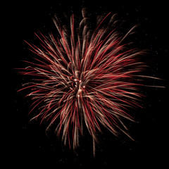 Beautiful red fireworks