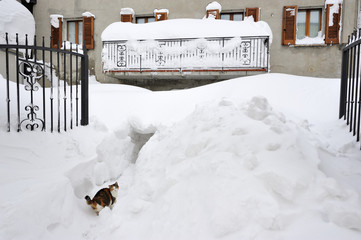 Snowy balcony