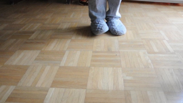 Putztag