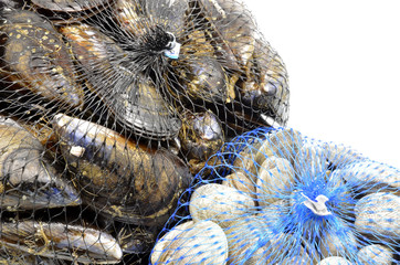 mussels and clams in two net bags