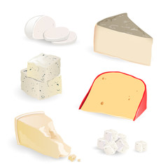 Vector Cheese Set