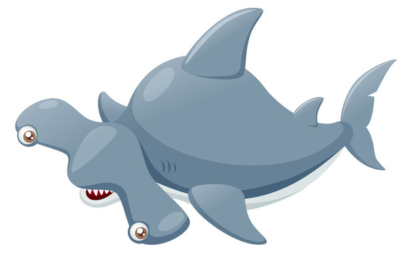 illustration of Hammerhead shark