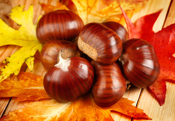 Castagne con foglie di sottobosco 