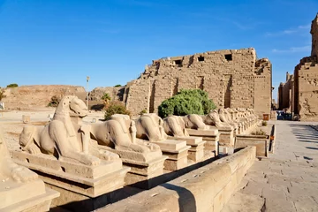 Wall murals Egypt row of ramheaded sphinxes at temple of karnak, luxor, egypt