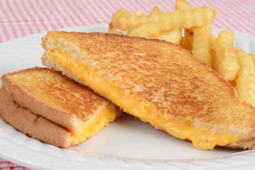 closeup grilled cheese sandwich with fries