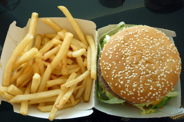 Tasty hamburger with fries, unhealthy food, health concept