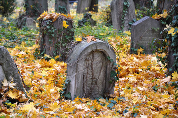 Fototapeta premium Zentralfriedhof