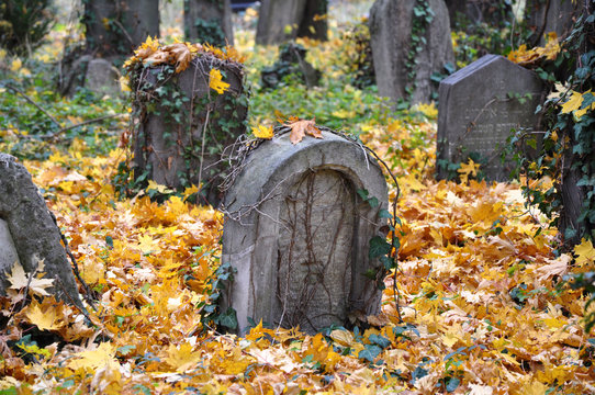 Zentralfriedhof