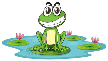 a frog and a water