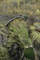 Ancient Roman bridge color image