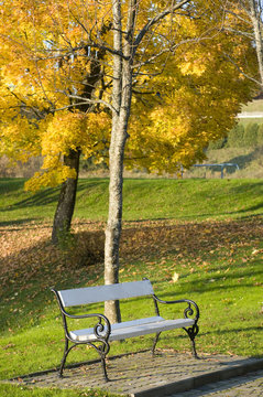 allone autumn banch in park