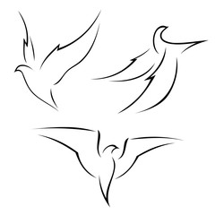 Illustration of a bird in flight - isolated on white