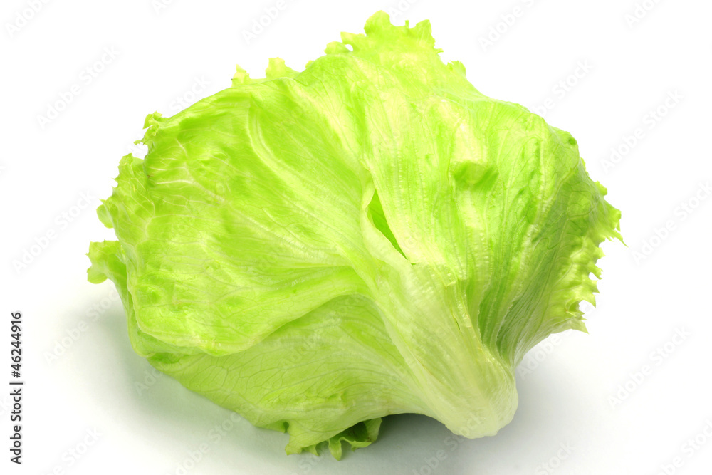 Poster lettuce