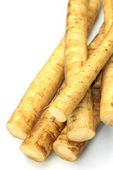 burdock