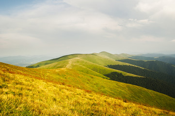 Summer mountains panorama