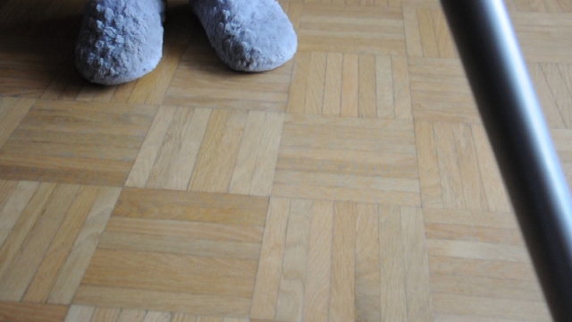 Putztag